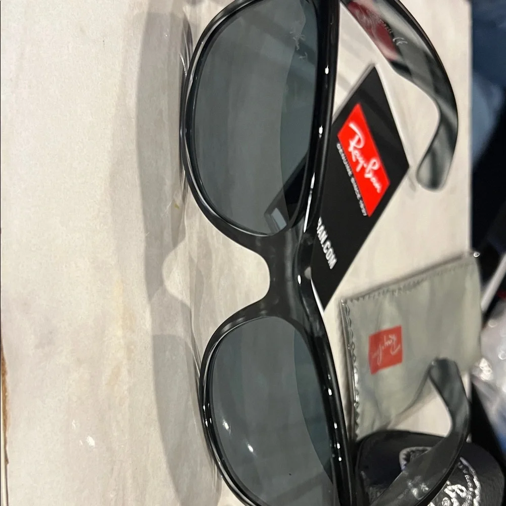 Ray-Ban Glossy Black Sunglasses